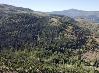 78.75 Acres, Brian Head, UT 84719