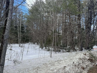 M5 L020/3 W Etna Rd, Etna, ME 04434