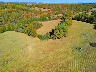 26104 U S 160, Gainesville, MO 65655