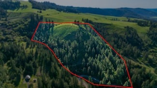 0 Jacks Canyon Rd, Lenore, ID 83541