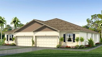 31461 Ancient Sage Rd, Wesley Chapel, FL 33545
