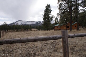2 Cr 2261, Alpine, AZ 85920