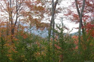 Lot 6 Firefly Pisgah Way Unit 6, Hot Springs, NC 28743