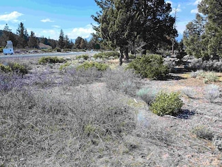 8-1/265 Rockwood Rd Unit 8-1, Weed, CA 96094