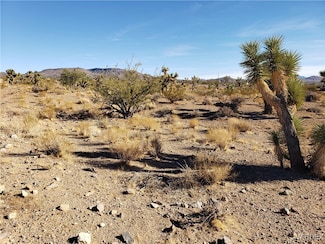 20576 Golden Arrow, White Hills, AZ 86445