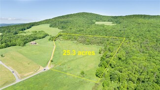 0 Wildberry Dr, Gilboa, NY 12167