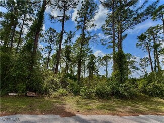 3121 69th St W, Lehigh Acres, FL 33971
