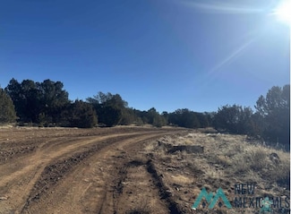 320+/- acres Apache Mesa Ave, Los Montoyas, NM 87701