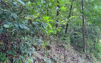 Lot 77 Fires Creek Cove Rd, Hayesville, NC 28904
