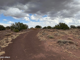 3875 Apache Rd Unit 877-878, Snowflake, AZ 85937