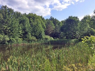 00 Schribner Rd, Springwater, NY 14560