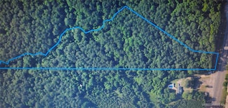 00 U S 231, Brundidge, AL 36010