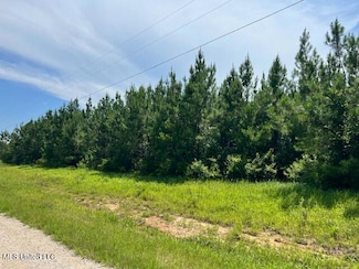 0 Pleasant Hills Dr, Lucedale, MS 39452