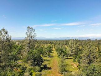 0 Way Unit 25-2517, Shingletown, CA 96088