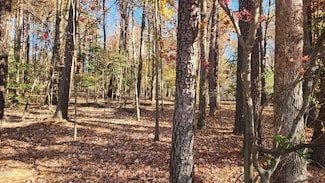 3901 Langston Cir, Apex, NC 27539