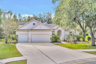 10218 Shadow Branch Dr, Tampa, FL 33647