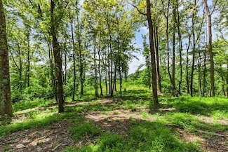 TBD Baptist Hollow Rd, Hiwassee, VA 24347