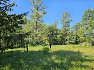0 Park Junction Rd E, Elbe, WA 98330