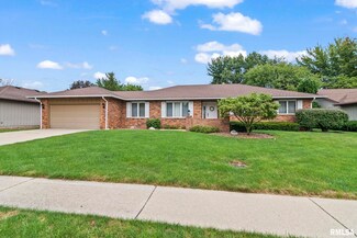 2909 Mill Point Ct, Springfield, IL 62704