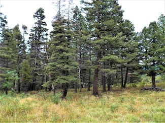 0 W Spanish Peaks Dr Unit 5 Lot 1 23-929, Aguilar, CO 81020