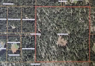 1195 Idlewild Dr, Cave Junction, OR 97523