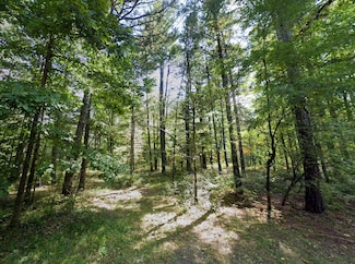 Scoonover Rd, Craigsville, VA 24430