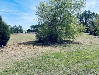TBD SE 60th Ln, Morriston, FL 32668