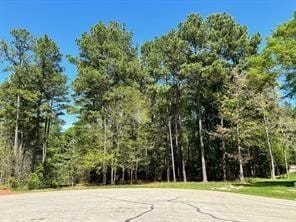 1513 Citron, Willis, TX 77378