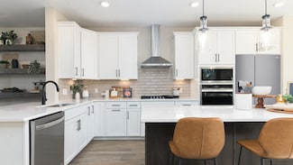 Ibis, Moncks Corner, SC 29461