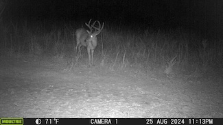 1722 Park Rd, Holladay, TN 38341