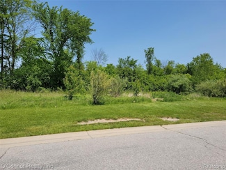 0 9th St Unit 20251003277, Smiths Creek, MI 48074