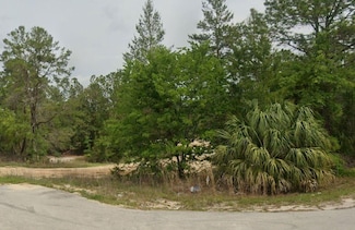 103 Highline Trail, Satsuma, FL 32189