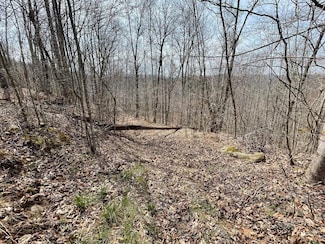 0 Wade Adkins Branch Rd Unit 58523, Kiahsville, WV 25512