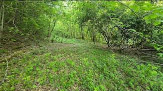 00 Ky Rt 1750, East Point, KY 41216