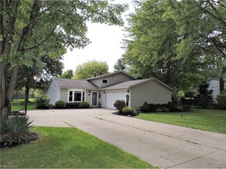 34091 Cooley Rd, Columbia Station, OH 44028