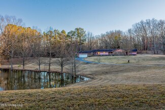 6411 Rolling Hills Dr, Olive Branch, MS 38654