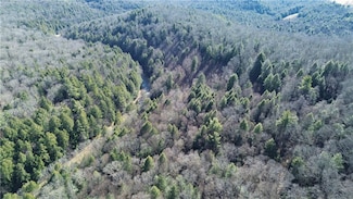 000 Laurel Rd, Piney Township, PA 16255