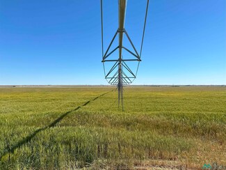 1545 C R E, Texico, NM 88135