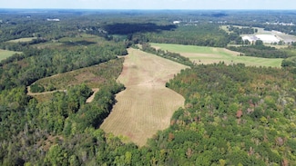 1199 County Road 9, Vernon, AL 35592