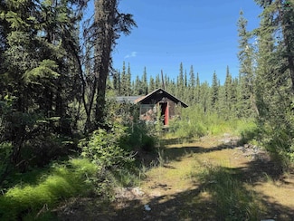 901 Ski Boot Hill Rd, Fairbanks, AK 99709