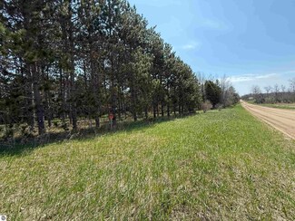 00 Hodge Rd, Fife Lake, MI 49633
