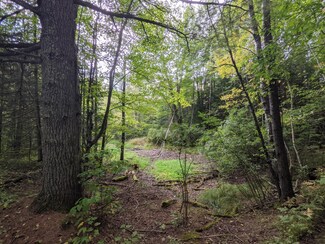 N8116 E Wilson Flowage Rd, Phillips, WI 54555