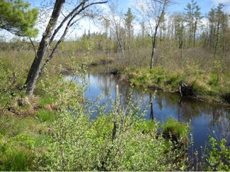 L3 Coffin Brook Rd, Alton, NH 03809