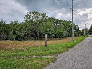 00 Carson Dr, Land O' Lakes, FL 34639