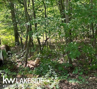 0 Marys Rd, Lake Township, MI 48725