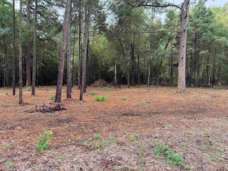 11503 C R 168, Tyler, TX 75703