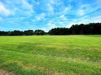 Lot 57 Lewis Ln Unit 57, Parksley, VA 23421