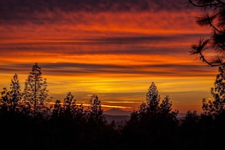 18299 W Clinton Rd, Jackson, CA 95642