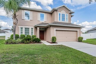 1219 Rushgrove Cir, Dover, FL 33527