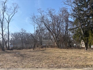 18149 Vaughan St, Detroit, MI 48219